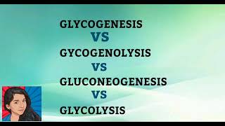 Glycolysis vs gluconeogenesis vs glycogenolysis vs glycogenesis tamil explanation [upl. by Sikorski]