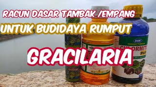 RACUN DASAR TAMBAK UNTUK BUDIDAYA RUMPUT GRACILARIA [upl. by Chaffin]