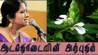 Justicia adhatoda medicinal uses  ஆடாதொடையின் வைத்திய முறைகள் [upl. by Moritz283]