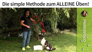 Hundeerziehung ➡️ Die simple Methode zum ALLEINE Üben ➡️ Praxisvideo ✔️ [upl. by Morty711]