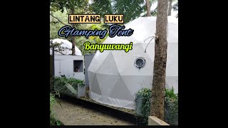 Lintang Luku Glamping Tent Resort Banyuwangi [upl. by Nive]