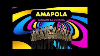 Alcalde La Sonora  Amapola Audio Oficial [upl. by Nadnarb]