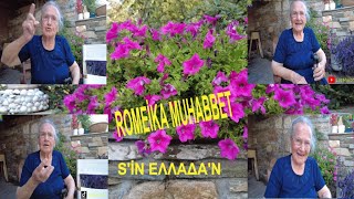 ROMEİKA MUHABBET SİN ΕΛΛΑΔΑN [upl. by Allin]