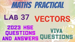 MATHS LAB 37VECTORS2023 HSE QUESTIONS AND ANSWERSVIVA QUESTIONS [upl. by Ailam]