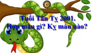 Tuổi Tân Tỵ 2001 Hợp màu gì Kỵ màu nào [upl. by Ahsaeyt]