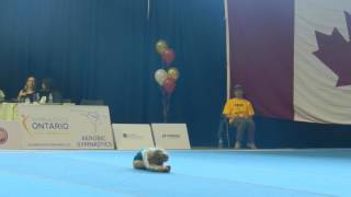 ACROBATICS Sophia Vigasin Woodbridge 2017NACAI Individual routine DEMONSTRATION [upl. by Killion]