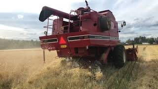 Harvest IH 1420 [upl. by Yurik]