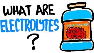 Why You Need Electrolytes  Can It Help With Getting Stronger [upl. by Yelsek731]