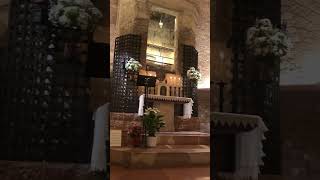 A Beautiful glorious churches in Assisi Basilica of Santa Maria Degli Angeli Santa Maria travel [upl. by Ahcsim]