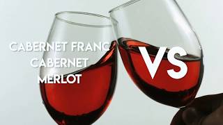 Cabernet Franc vs Cabernet vs Merlot [upl. by Aitnahs]