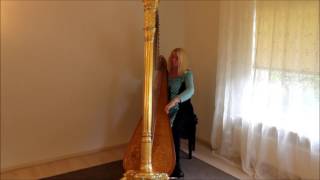 Harpist Regina Ederveen plays Etude 10 by Bochsa on harp [upl. by Havens]