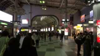 NEX Narita express from Narita airport to Shinagawa station [upl. by Paulina]