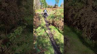 Hillclimb haldon Steeper than it looks mtb ytshort mountainbike hillclimbracing [upl. by Gilberto]