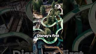 The Surreal Secrets of Abandoned Disney Parks [upl. by Adolph]