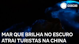 Turistas brincam em mar que brilha no escuro na China [upl. by Tletski]