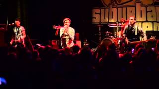 Suburban Legends  Ducktales Petaluma CA [upl. by Lerret]