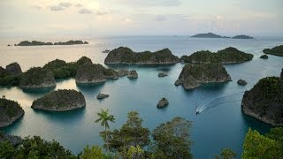 DIVING RAJA AMPAT MARCH 2015 [upl. by Otilesoj751]