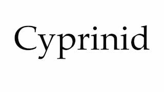 How to Pronounce Cyprinid [upl. by Suiddaht]