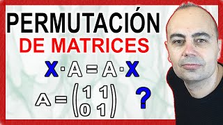 ❇️ PERMUTACIÓN De MATRICES ❇️ Operaciones Con Matrices PAU 2025 [upl. by Nnyleitak998]