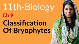 FSc Biology Part 1 Ch 9  Classification of Bryophytes  11th Class Biology [upl. by Elinnet]