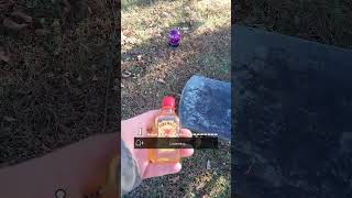 Looking for Emily Fort Ann cemetery Fort Ann NY 👻 hunting experiment fireball whiskey trigger object [upl. by Atiuqat353]