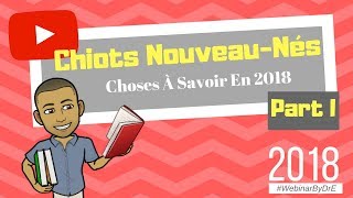 Chiots NouveauNés  Choses à Savoir en 2018  Part I [upl. by Rosanne419]