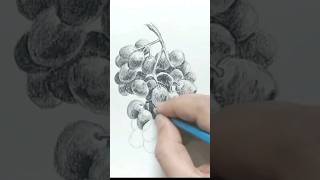 Black Angoor 🍇🍇 drawing viral youtubeshorts [upl. by Shayn]