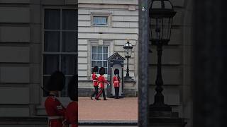 Buckingham Palace Guard Change Buckingham England English ukdiaries travel london [upl. by Munroe455]