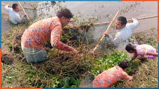 Fishing Latest Video  Fishing In Village River  Catching Fish Traditional Way [upl. by Ursula]