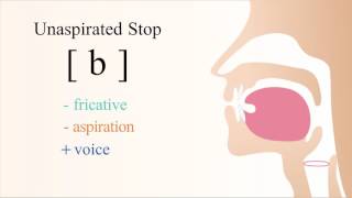 b  voiced unaspirated bilabial stop [upl. by Etteiluj]