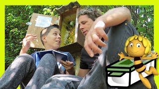 TRAVELBUG HOTEL geocaching [upl. by Ettelimay]