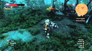 Insect Repellant How To Defeat An quotEndrega Warriorquot In The Witcher 3 [upl. by Suez245]