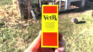 Herbal Chicken Respiratory Health  VetRx  Gapeworm [upl. by Kala]