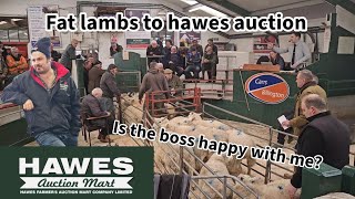 FAT lambs to hawes auction Was the boss happy  Mabel is engaged [upl. by Sankey]