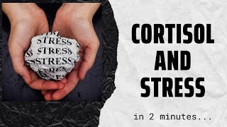 Cortisol the stress hormone in 2 mins [upl. by Russell]