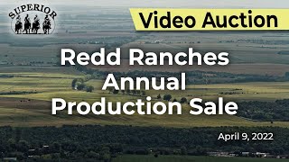 Redd Ranches Annual Production Sale [upl. by Jarred]