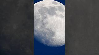 P1000 MOON SHOT SUPER ZOOM [upl. by Shaer]