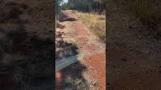 Government burnoff 🔥 poor firebreak preparations PRIOR TO A CONTROLLED BURNOFF [upl. by Montanez720]