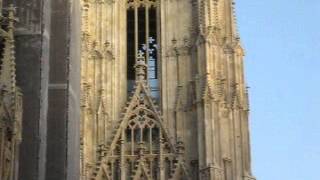 Wien Stephansdom Plenum [upl. by Furie]