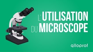 Lutilisation du microscope  Sciences  Alloprof [upl. by Donn264]