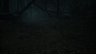 Blair Witch20241122151535 [upl. by Nivrag]