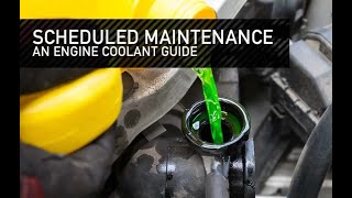 أسهل طريقة لتغيير مياة التبريد، كيا كوبيه  scheduled maintenance and engine coolant guide [upl. by Nnasus377]