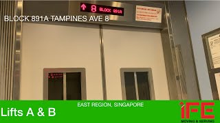 HDB Block 891A Tampines  IFE Elevator [upl. by Enilra]