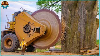 150 Fastest Big Chainsaw Cutting Tree Machines Skills  Tree Felling Climbing With Chainsaw [upl. by Sage125]