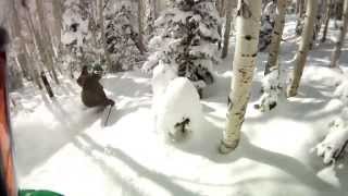 Steamboat  The Best Tree Skiing in the World [upl. by Airotciv]