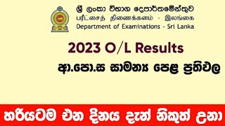 ol results release date  ol results හරියටම එන දිනය  20222023 ol results  SL Academy [upl. by Rafaelia]