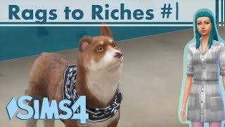 Sims 4  Rags to Riches  A Tent  Ep 1 [upl. by Aigil789]