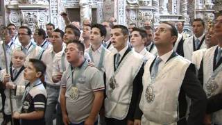 Vanniate alla Madonna del Lume a Palermo processione 2011 [upl. by Einahteb]