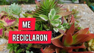 10 hermosos mini jardines reciclando manualidades [upl. by Ploss]