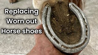 Replacing Old Worn Down Horse Shoes Hoof Restoration [upl. by Kass]